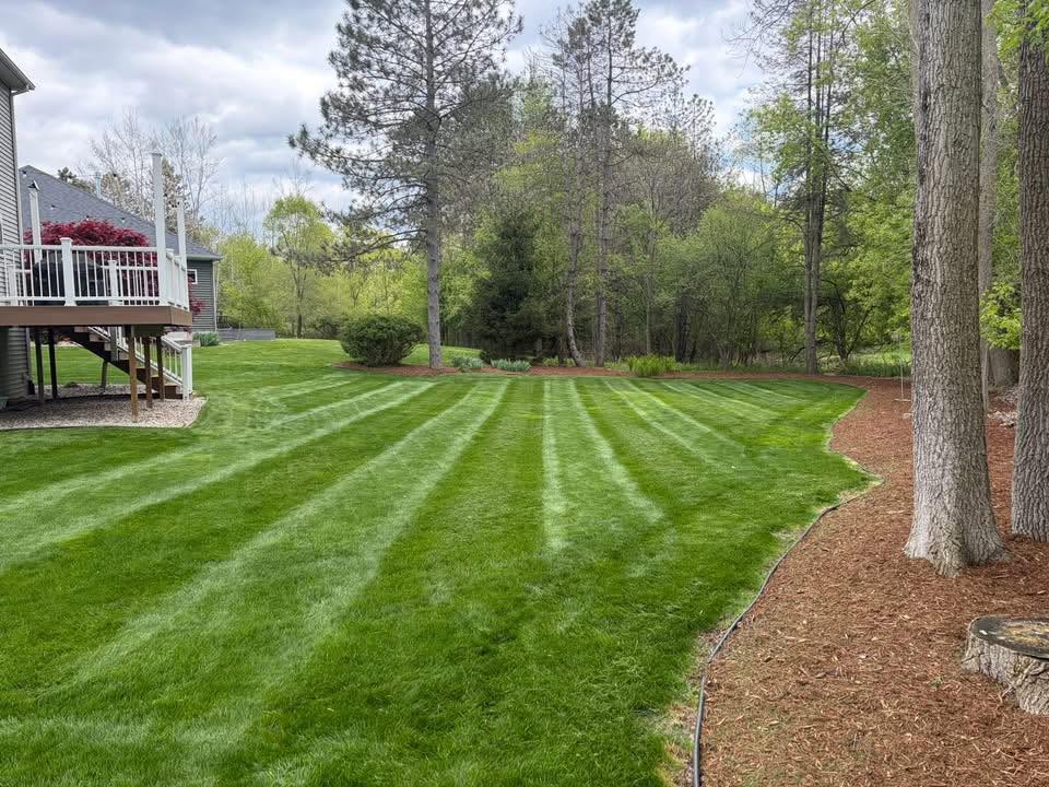 Perfectly striped lawn with manicured mulch beds in Haslett, MI