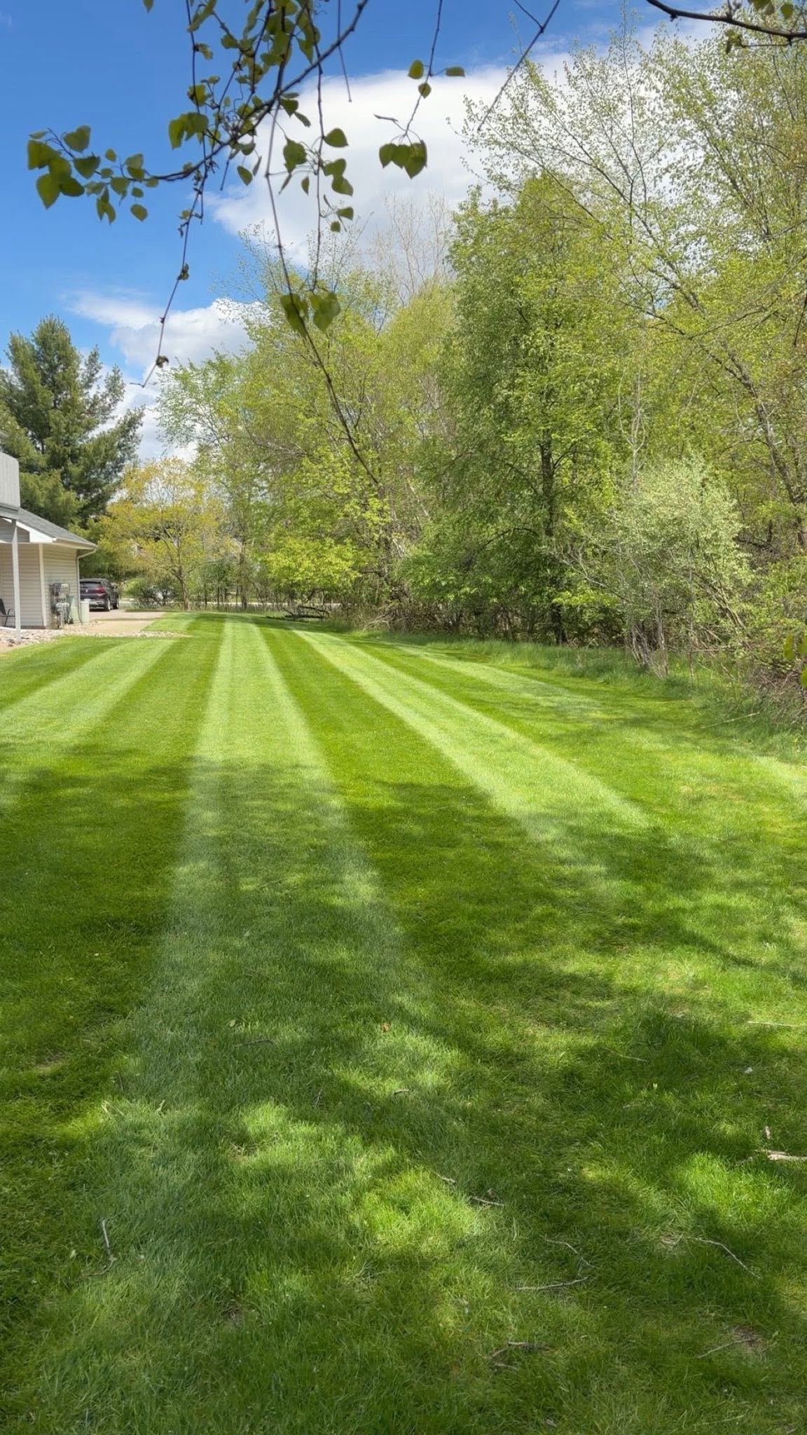 Professional lawn mowing service in Haslett, Michigan