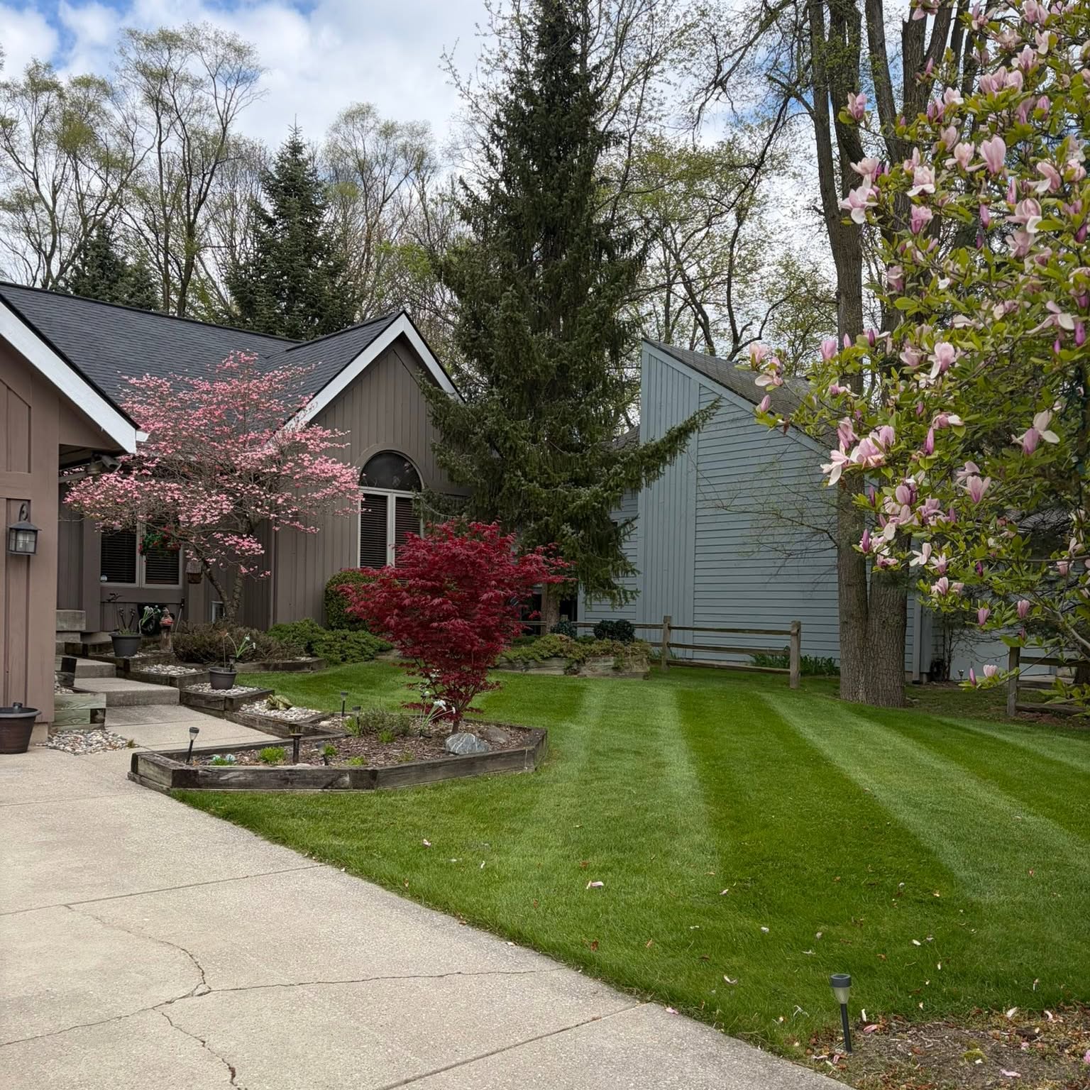 Striped lawn care Haslett Michigan