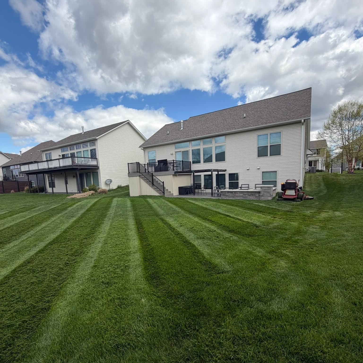 Freshly cut grass Haslett MI lawn service