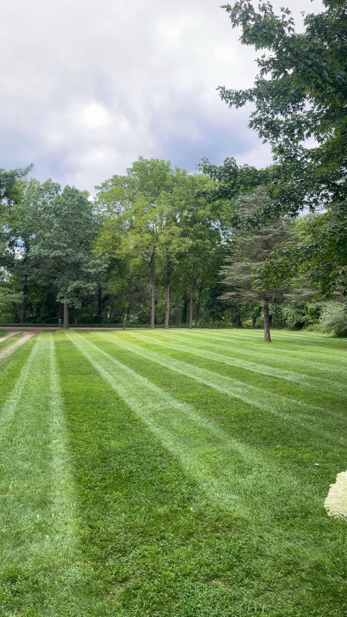 Freshly mowed residential lawn near East Lansing, MI