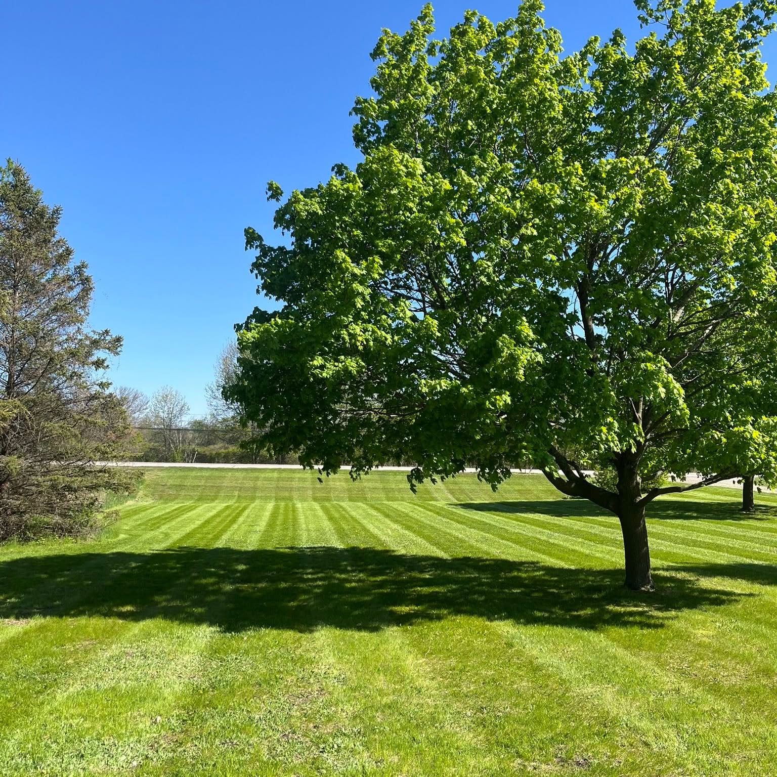 Residential lawn mowing service Haslett area