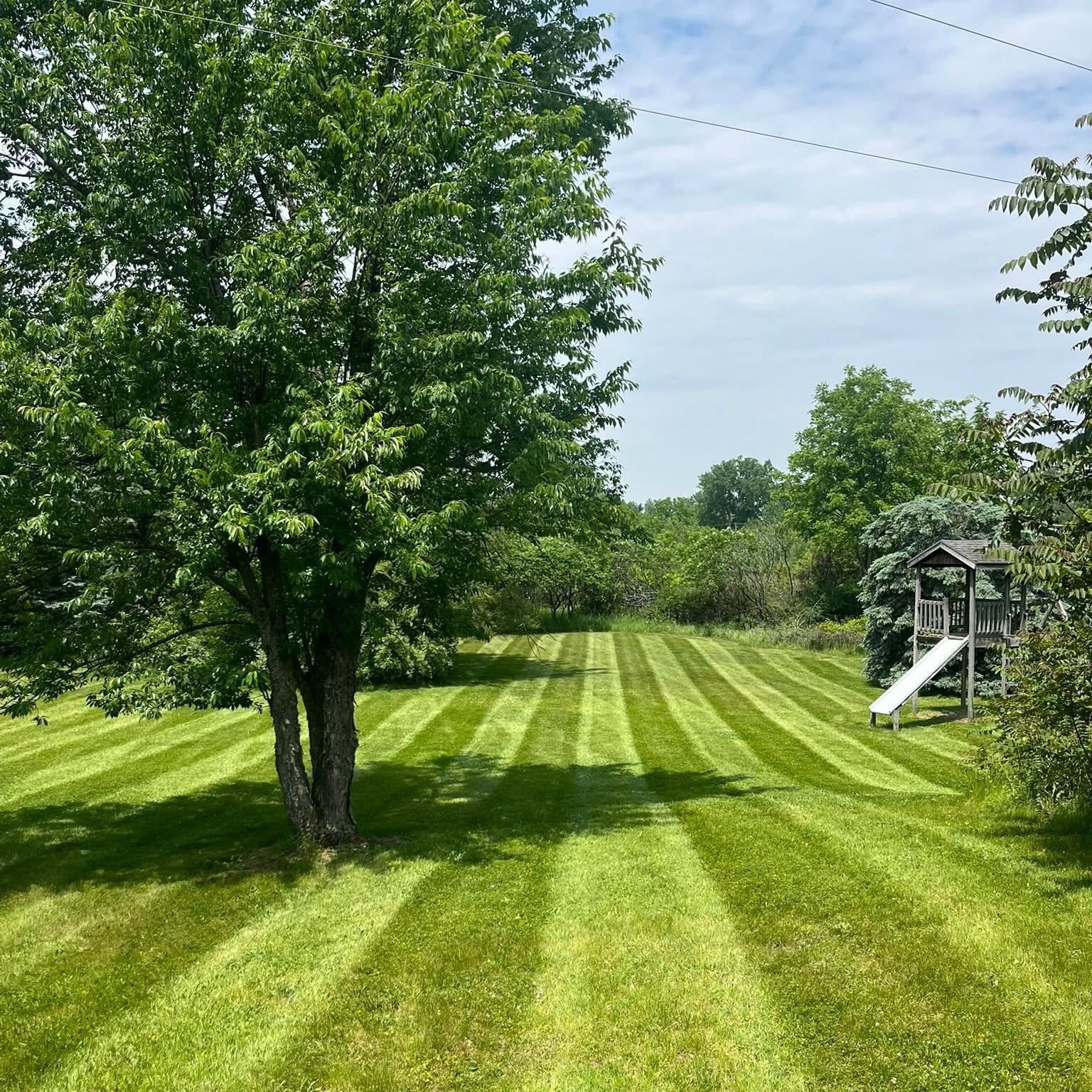 Striped mowing pattern lawn care Haslett