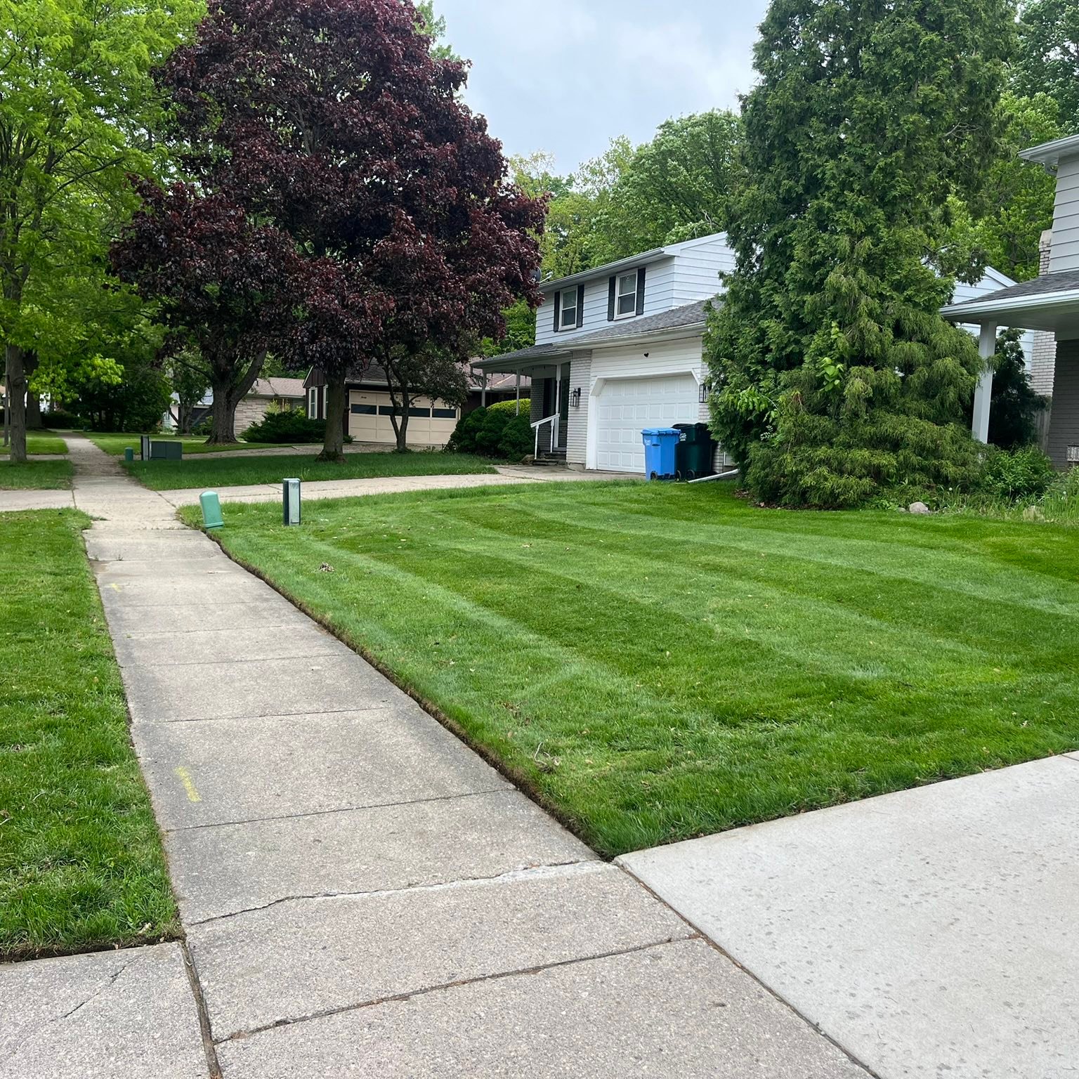 Lawn care service Meridian Township Michigan