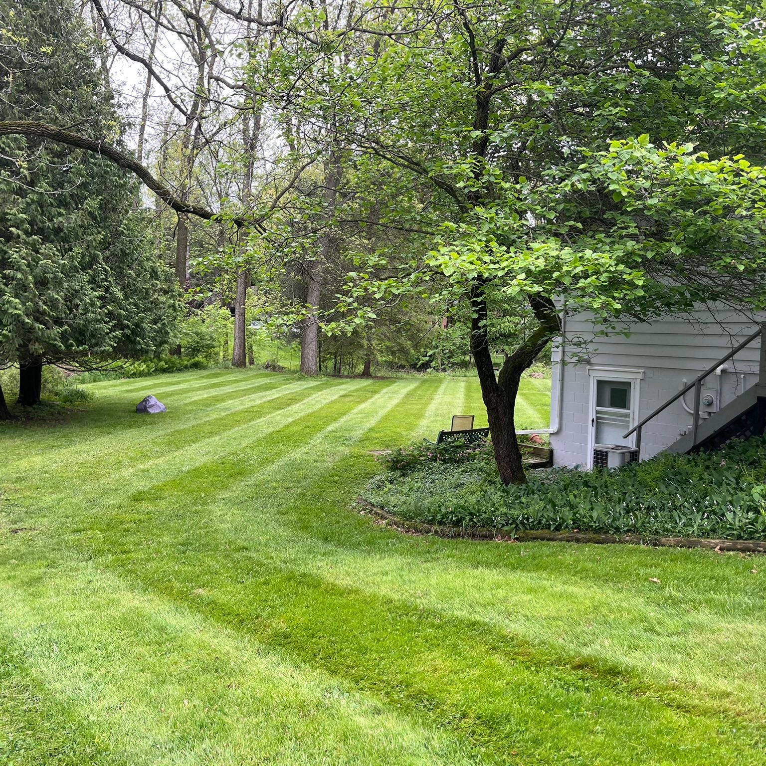 Mulching and lawn care Haslett Michigan