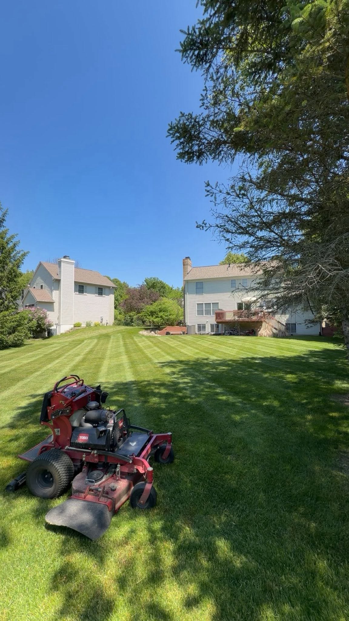 Lawn care and maintenance Haslett MI