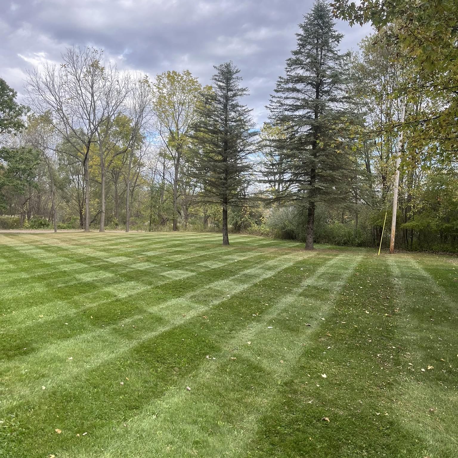 Professional mowing near East Lansing Michigan