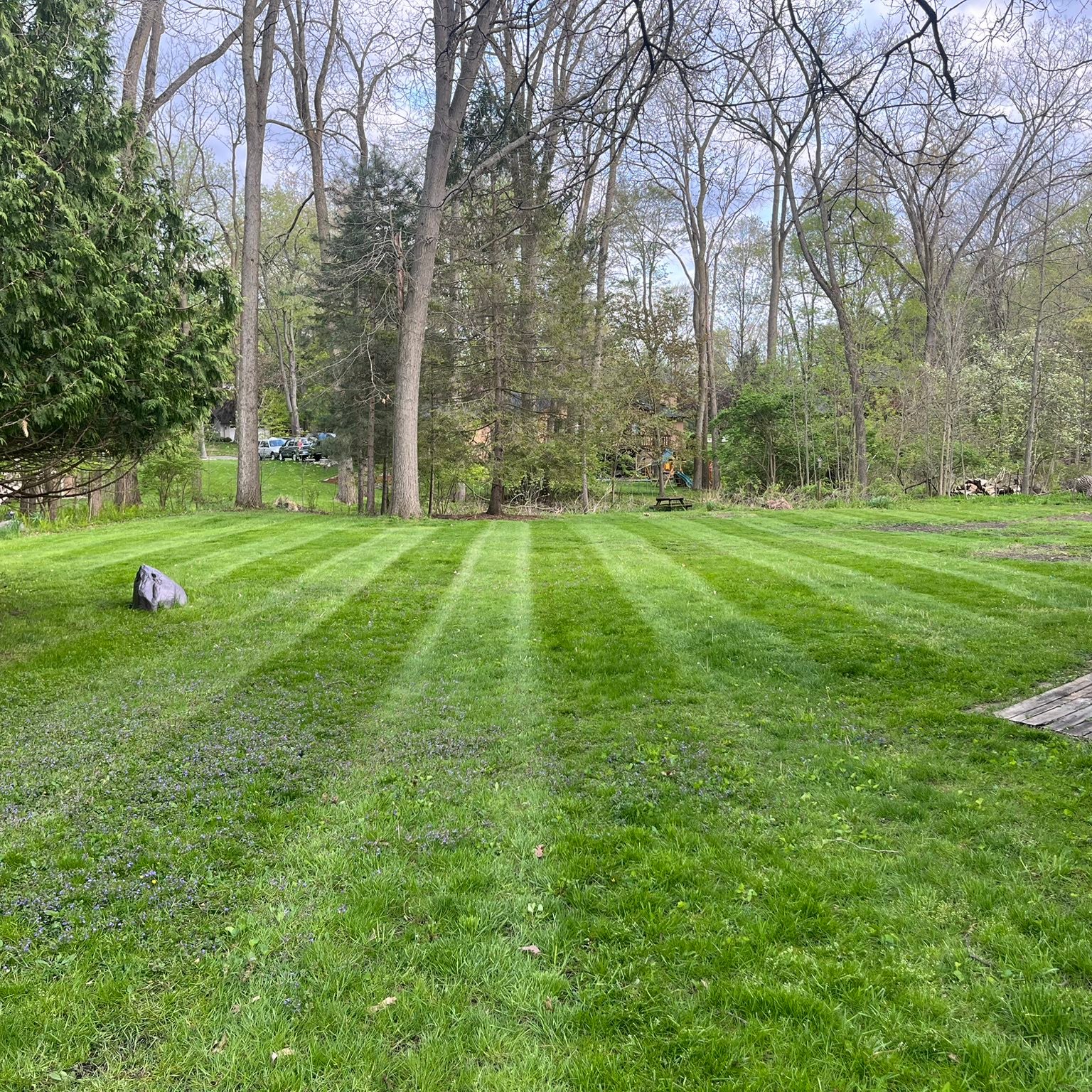 Pristine lawn mowing job Haslett MI