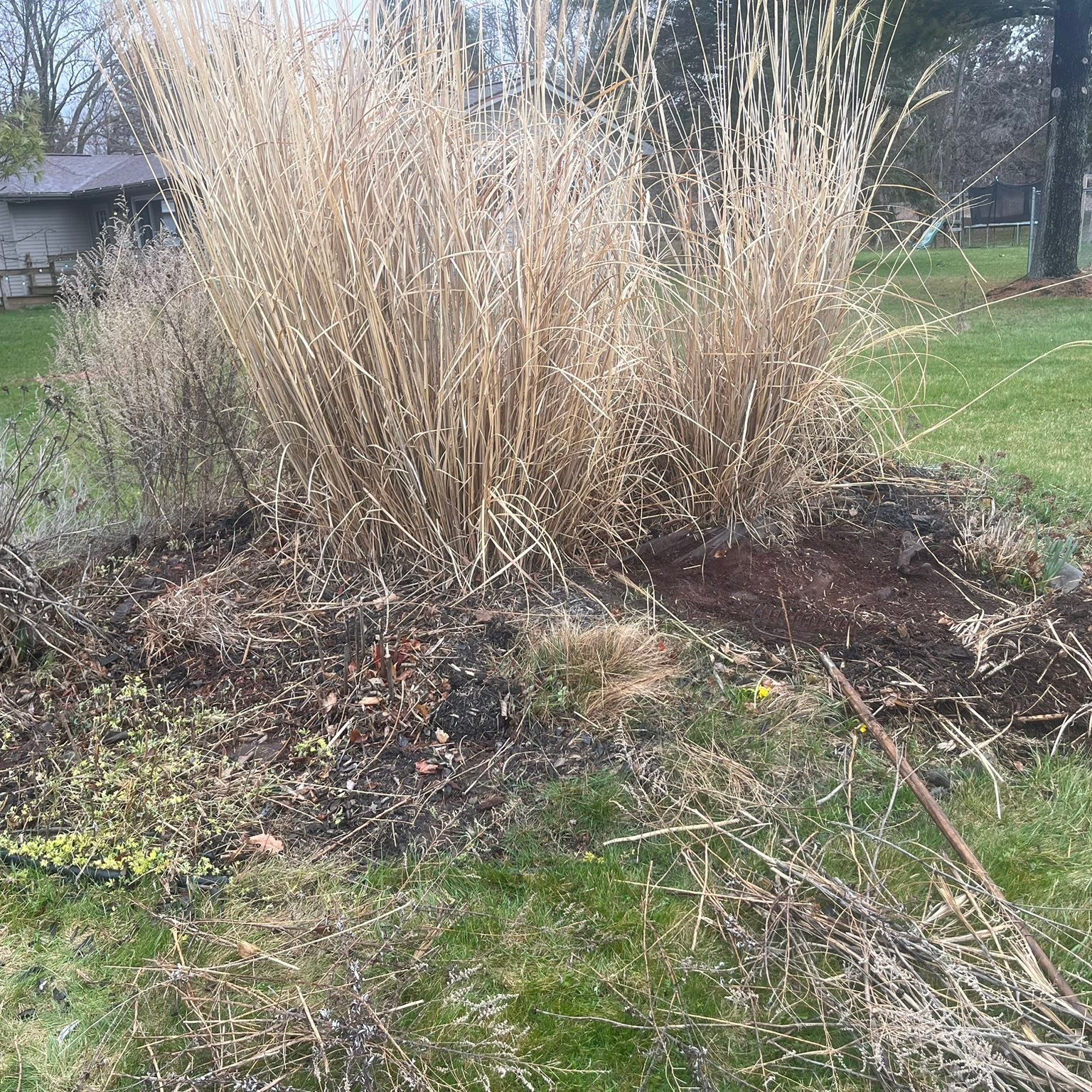 Perfectly mowed lawn Haslett Michigan