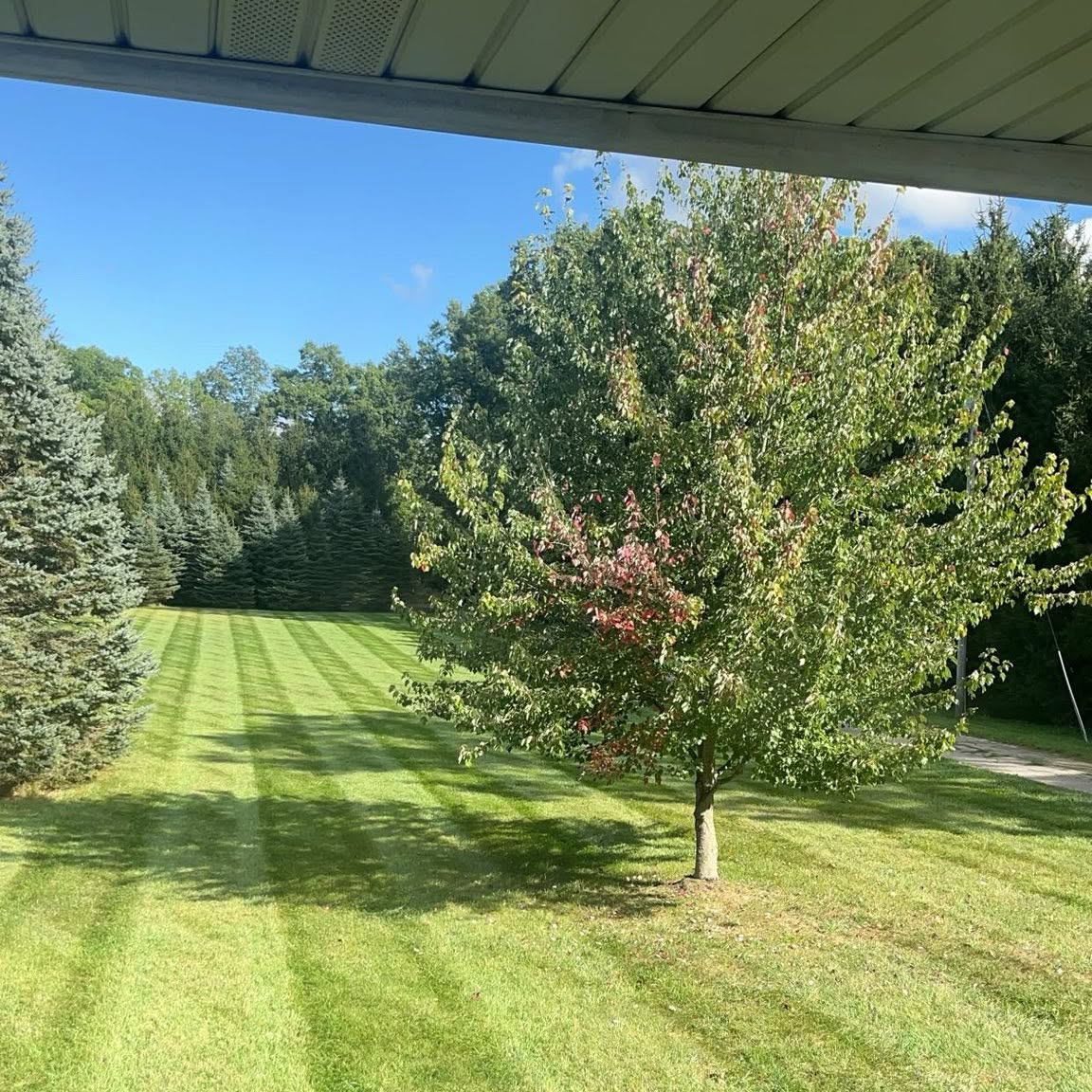 Residential lawn mowing Haslett MI area