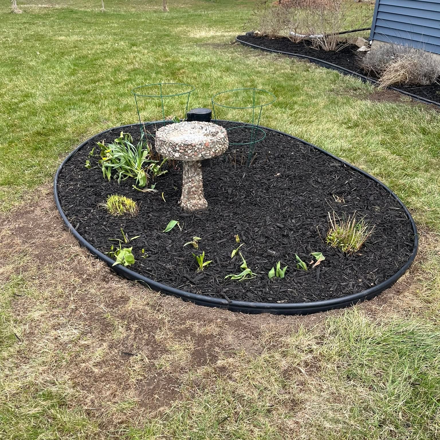 Professional grass cutting Haslett Michigan