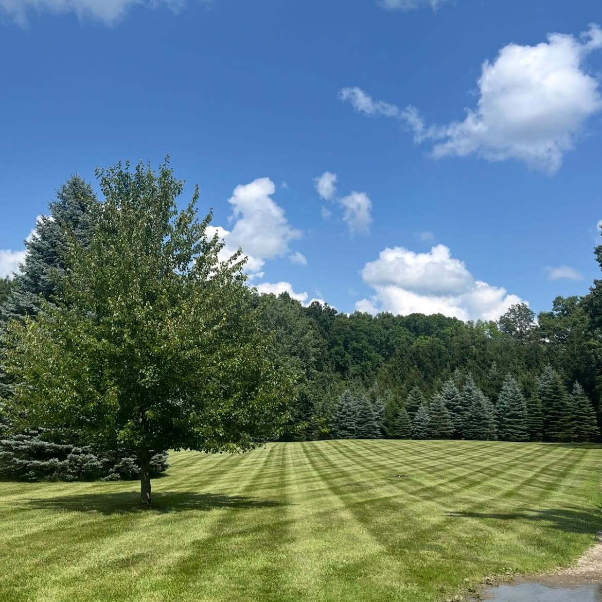 Mowing and edging service Haslett area