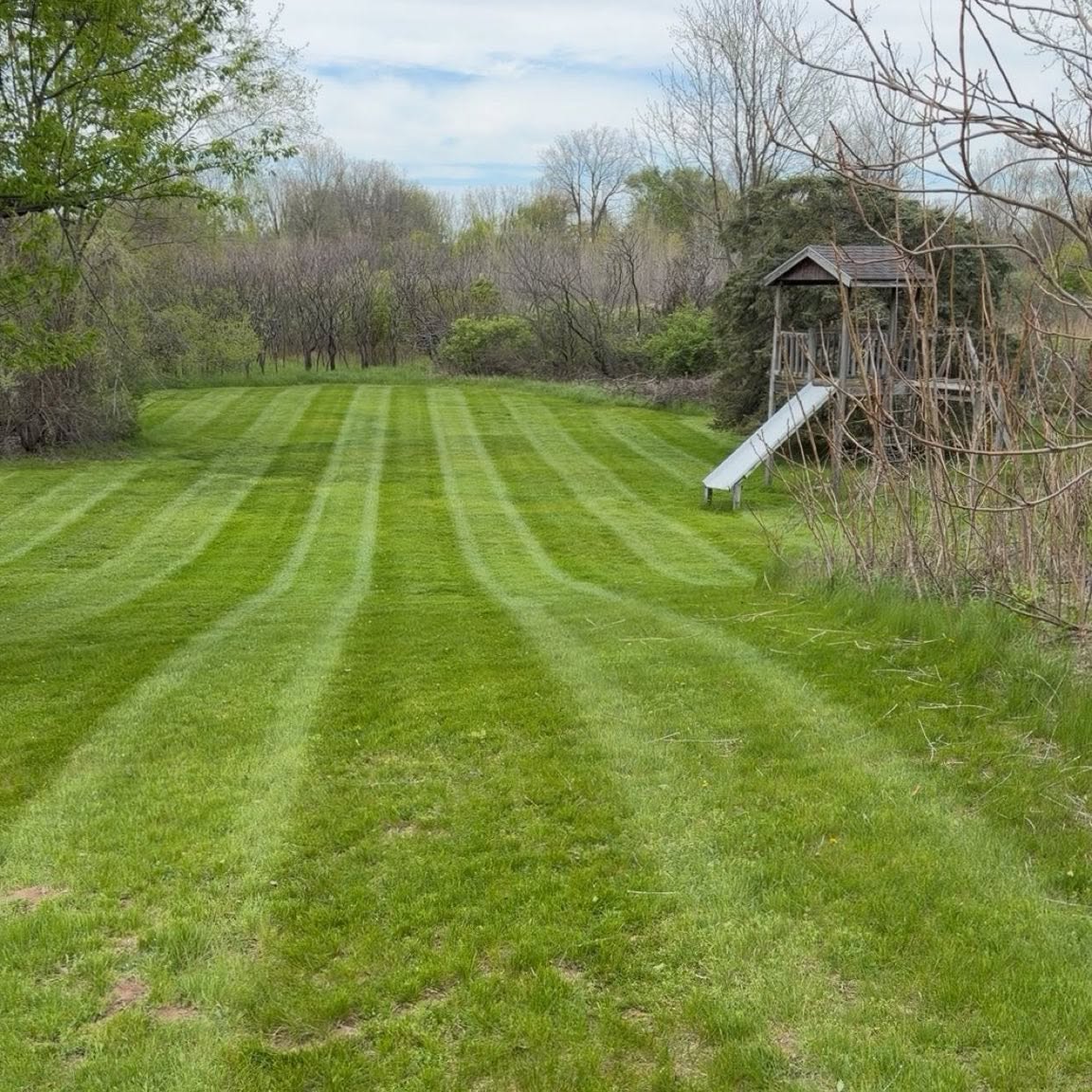 Striped lawn mowing in Haslett, Michigan