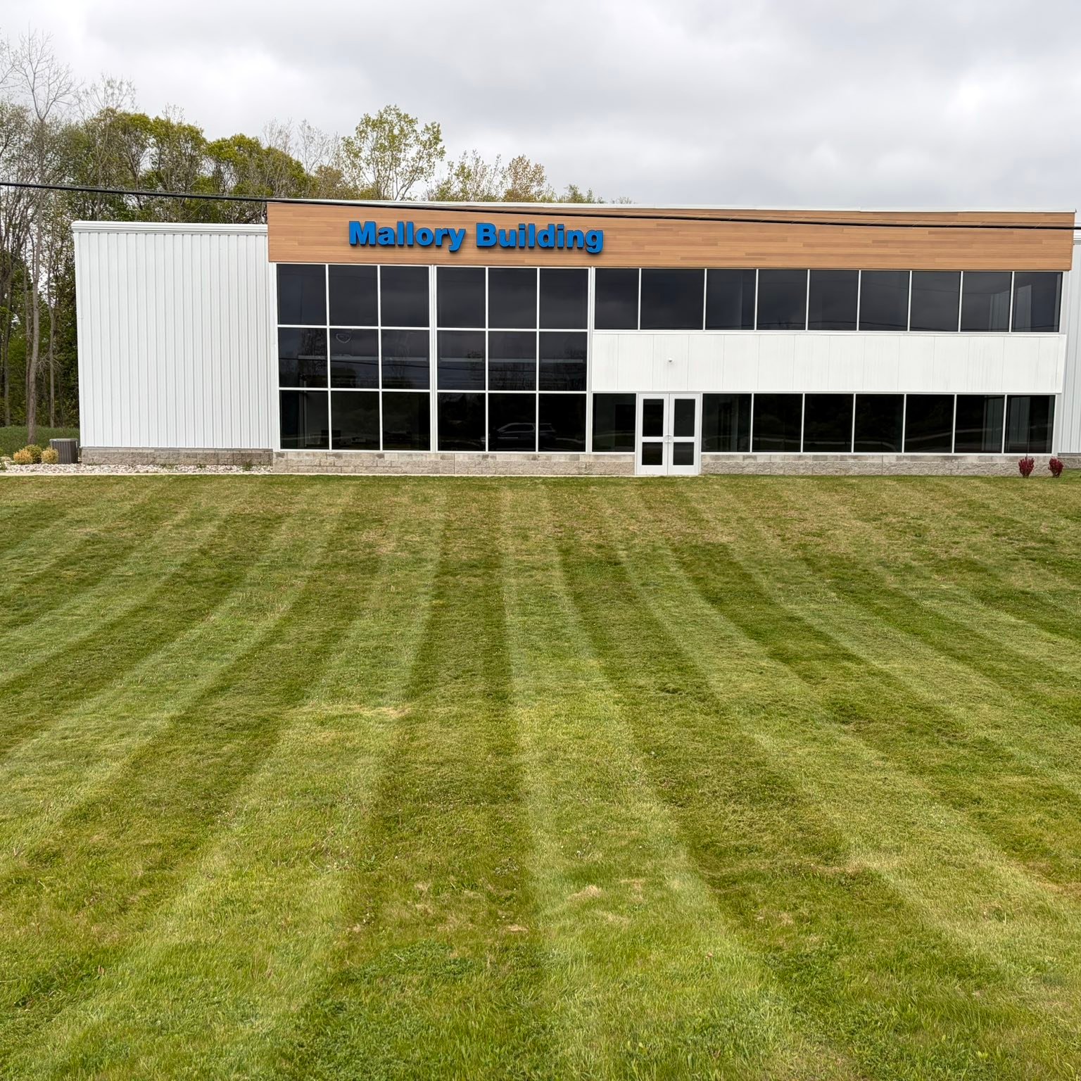 Professional grass cutting near East Lansing